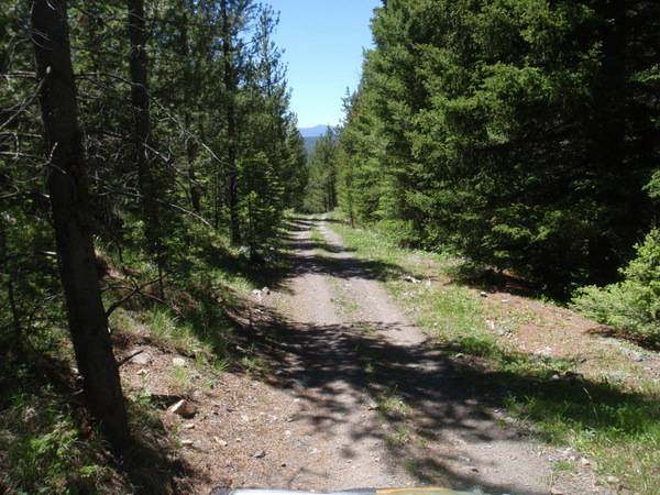 Working our way downhill, barely pedaling.